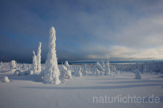 R10016 Riisitunturi im Winter, Finnland, Kuusamo - Christoph Robiller
