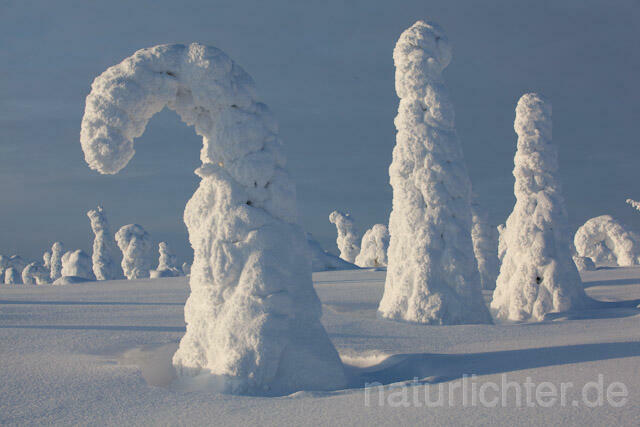 R10021 Riisitunturi im Winter, Finnland, Kuusamo - Christoph Robiller