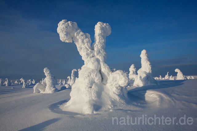 R10023 Riisitunturi im Winter, Finnland, Kuusamo - Christoph Robiller