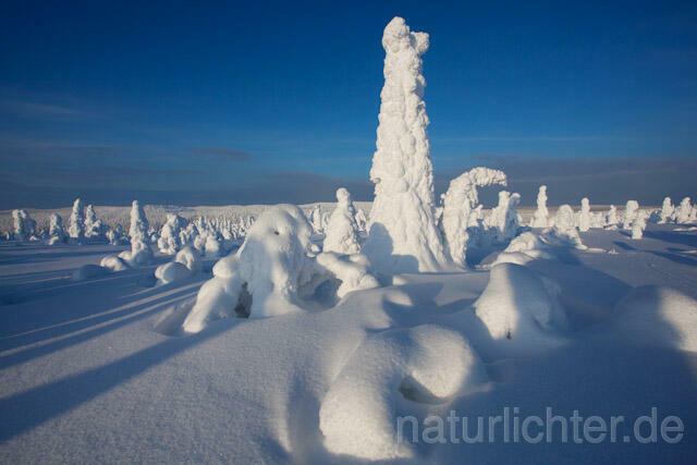 R10033 Riisitunturi im Winter, Finnland, Kuusamo - Christoph Robiller