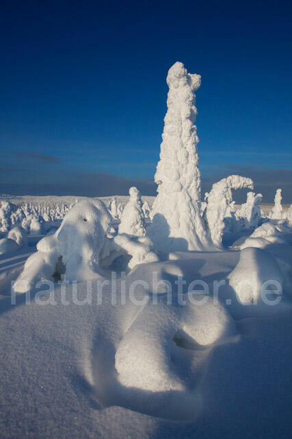 R10034 Riisitunturi im Winter, Finnland, Kuusamo - Christoph Robiller