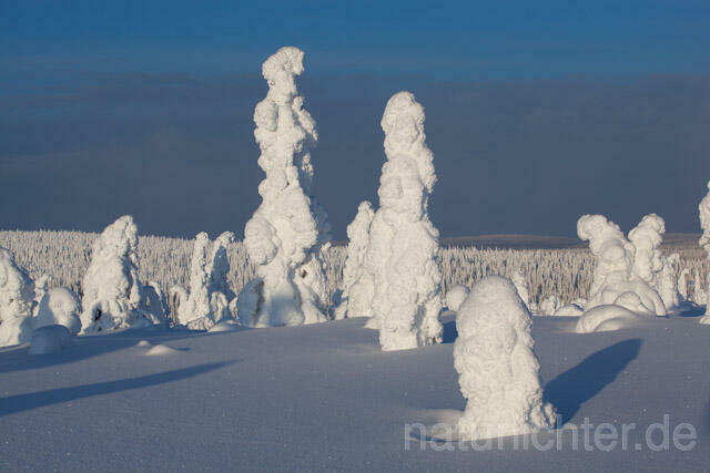 R10037 Riisitunturi im Winter, Finnland, Kuusamo - Christoph Robiller