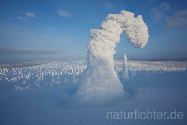 R10044 Riisitunturi im Winter, Finnland, Kuusamo - Christoph Robiller