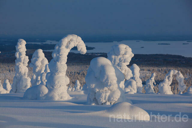 R10046 Riisitunturi im Winter, Finnland, Kuusamo - Christoph Robiller