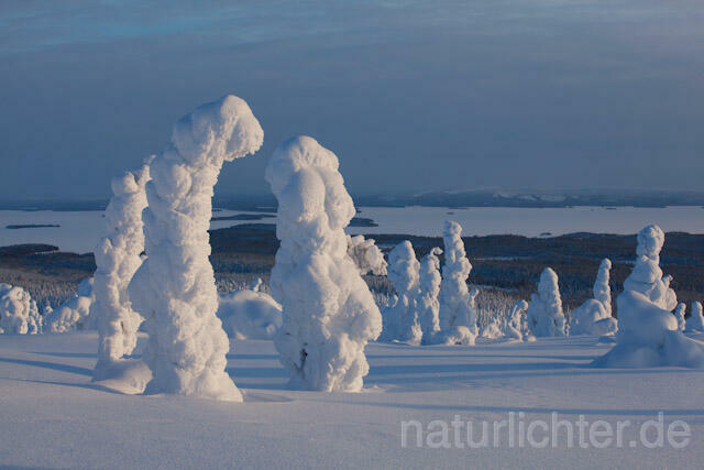 R10047 Riisitunturi im Winter, Finnland, Kuusamo - Christoph Robiller