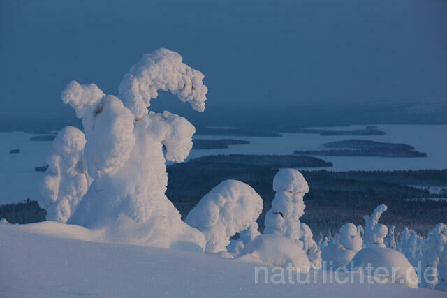 R10051 Riisitunturi im Winter, Finnland, Kuusamo - Christoph Robiller