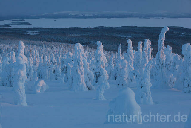 R10058 Riisitunturi im Winter, Finnland, Kuusamo - Christoph Robiller