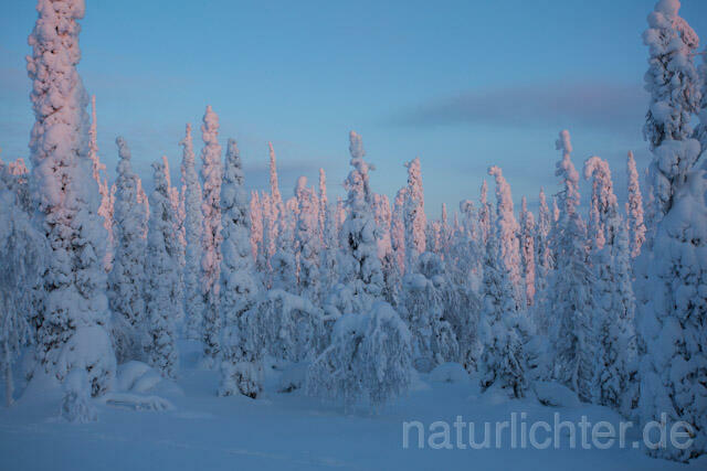 R10064 Riisitunturi im Winter, Finnland, Kuusamo - Christoph Robiller