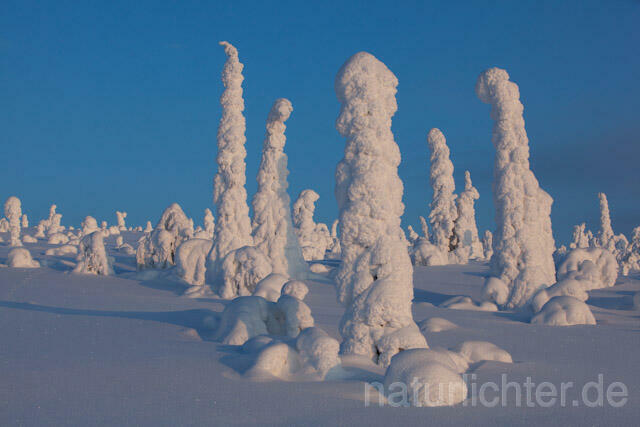 R10080 Riisitunturi im Winter, Finnland, Kuusamo - Christoph Robiller