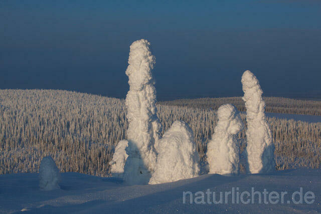 R10089 Riisitunturi im Winter, Finnland, Kuusamo - Christoph Robiller