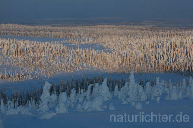 R10091 Riisitunturi im Winter, Finnland, Kuusamo - Christoph Robiller