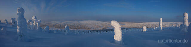 R10097 Riisitunturi im Winter, Finnland, Kuusamo - Christoph Robiller
