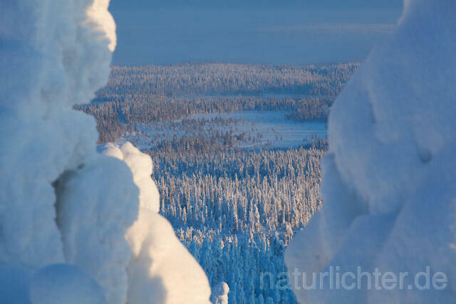 R10108 Rukatunturi im Winter, Finnland, Kuusamo - Christoph Robiller