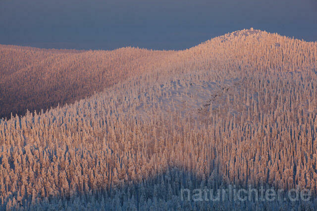 R10110 Valtavaara, Valtavaara-Pyhävaara Natur Reserve, Winter, Finnland, Kuusamo - Christoph Robiller