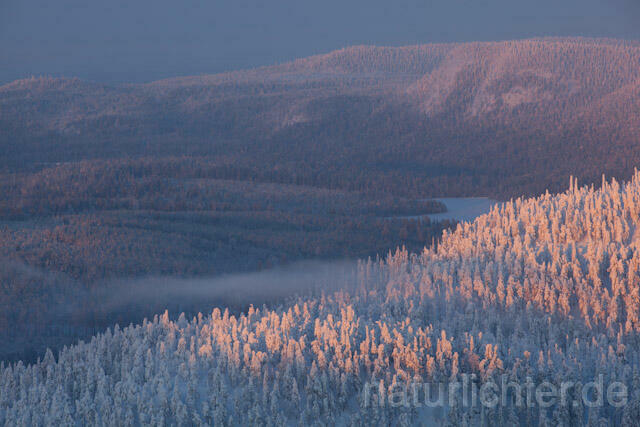 R10113 Valtavaara, Valtavaara-Pyhävaara Natur Reserve, Winter, Finnland, Kuusamo - Christoph Robiller