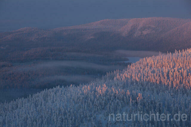R10118 Valtavaara, Valtavaara-Pyhävaara Natur Reserve, Winter, Finnland, Kuusamo - Christoph Robiller