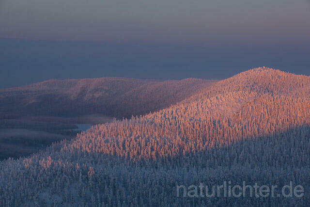 R10119 Valtavaara, Valtavaara-Pyhävaara Natur Reserve, Winter, Finnland, Kuusamo - Christoph Robiller
