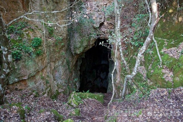 R10528 Höhle, Lebensraum des Duftenden Höhlensalamanders, Hydromantes imperialis, Imperial Cave Salamander - Christoph Robiller