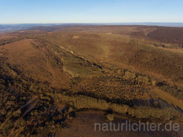 R11380 Nationalpark Hainich, Luftaufnahme - Christoph Robiller