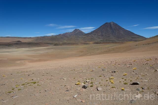 W12680 Atacama-Wüste,Chile - Peter Wächtershäuser