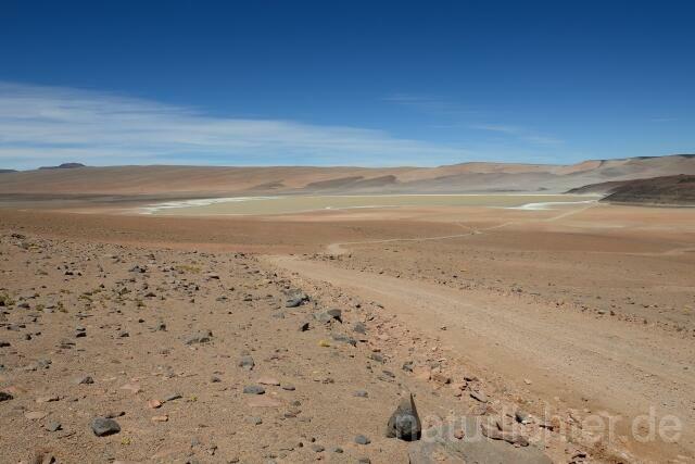 W12681 Atacama-Wüste,Chile - Peter Wächtershäuser