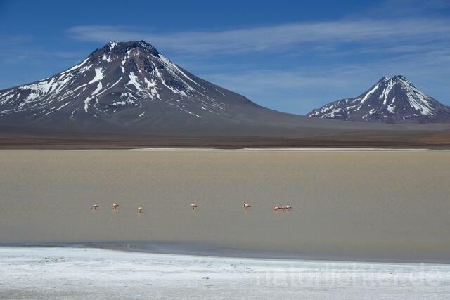 W12683 Atacama-Wüste,Chile - Peter Wächtershäuser