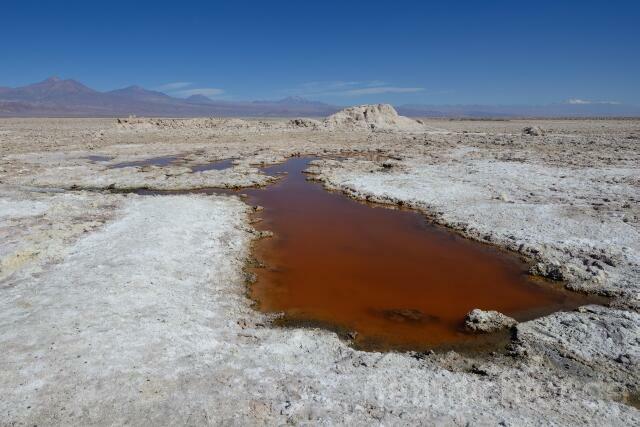 W12693 Salar de Atacama - Peter Wächtershäuser