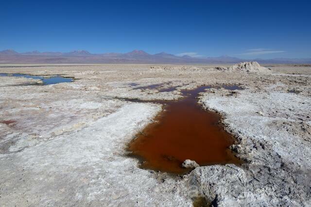 W12695 Salar de Atacama - Peter Wächtershäuser