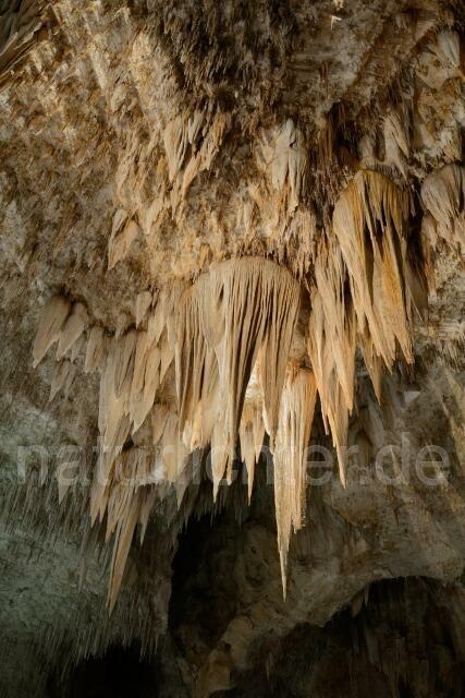 W9296 Carlsbad-Caverns-Nationalpark - Peter Wächtershäuser