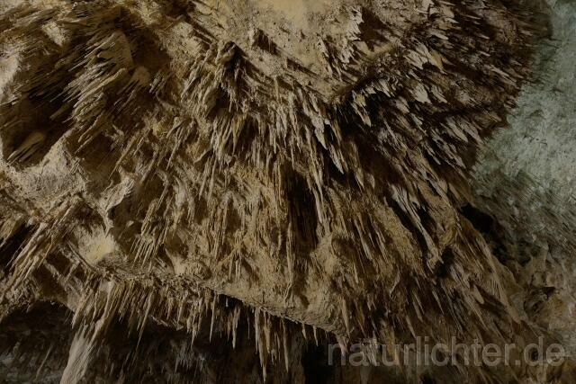 W9302 Carlsbad-Caverns-Nationalpark - Peter Wächtershäuser
