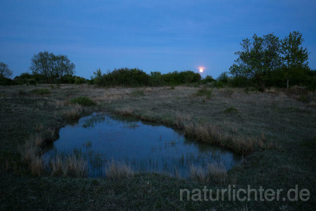 R13447 Kleingewässer, Teich in offener Landschaft mit Mond - Christoph Robiller