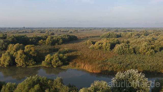 R14287 Donaudelta, Luftaufnahme, Danube Delta, Aerial photo - Christoph Robiller