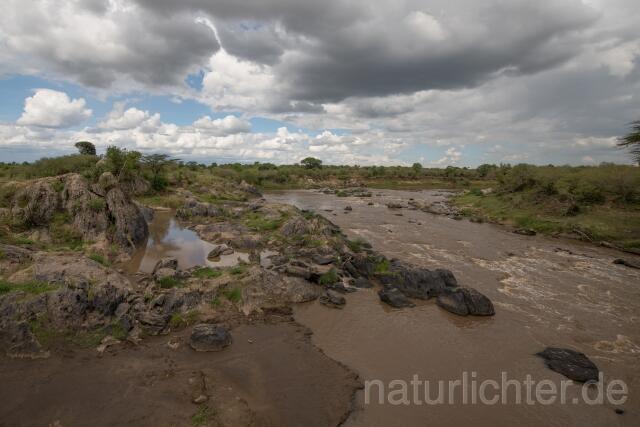 W23340 Kenia,Kenya,Masai Mara