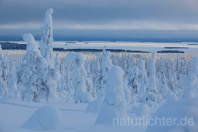R10012 Riisitunturi im Winter, Finnland, Kuusamo - Christoph Robiller