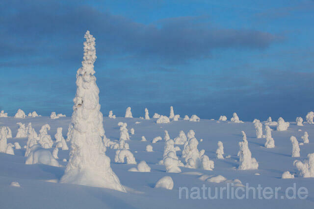 R10018 Riisitunturi im Winter, Finnland, Kuusamo - Christoph Robiller