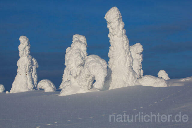 R10022 Riisitunturi im Winter, Finnland, Kuusamo - Christoph Robiller