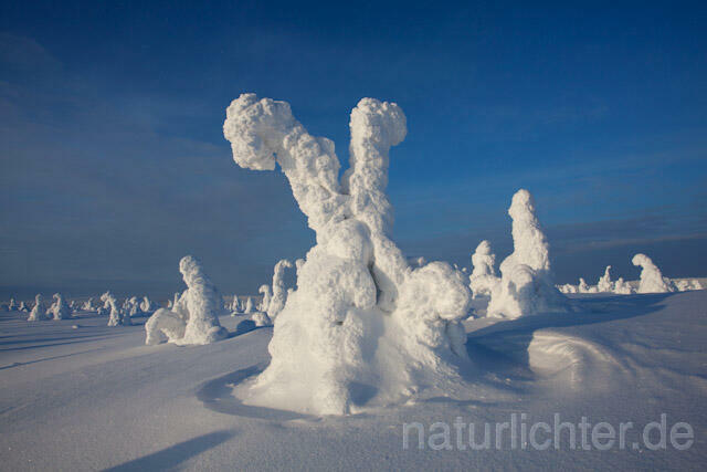 R10024 Riisitunturi im Winter, Finnland, Kuusamo - Christoph Robiller