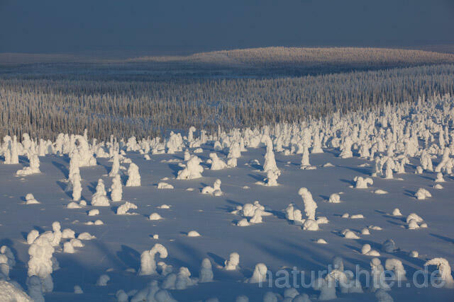 R10026 Riisitunturi im Winter, Finnland, Kuusamo - Christoph Robiller