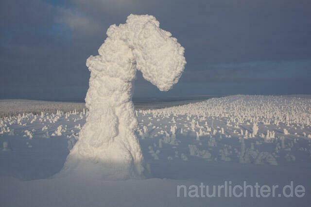 R10042 Riisitunturi im Winter, Finnland, Kuusamo - Christoph Robiller