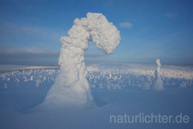 R10043 Riisitunturi im Winter, Finnland, Kuusamo - Christoph Robiller