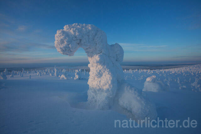 R10049 Riisitunturi im Winter, Finnland, Kuusamo - Christoph Robiller