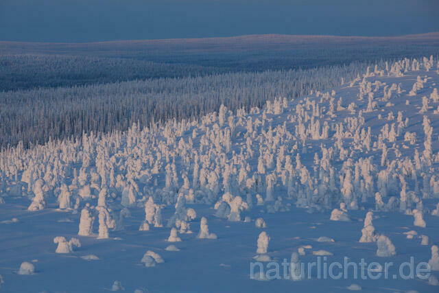R10050 Riisitunturi im Winter, Finnland, Kuusamo - Christoph Robiller