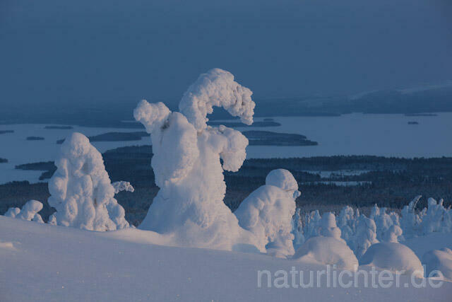 R10052 Riisitunturi im Winter, Finnland, Kuusamo - Christoph Robiller