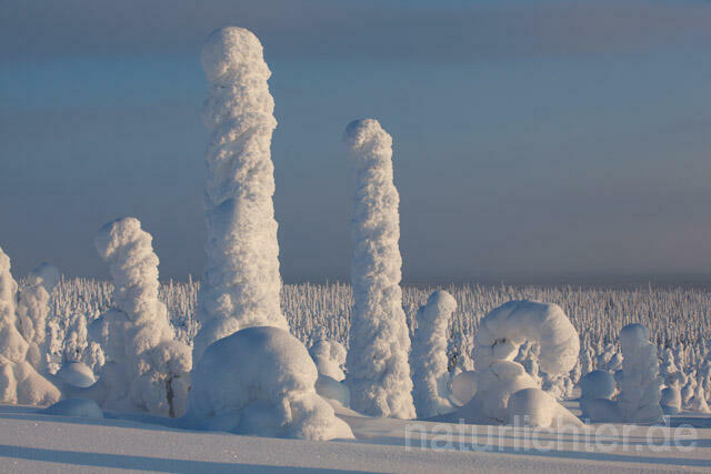 R10086 Riisitunturi im Winter, Finnland, Kuusamo - Christoph Robiller
