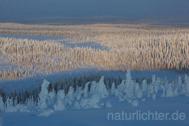 R10092 Riisitunturi im Winter, Finnland, Kuusamo - Christoph Robiller