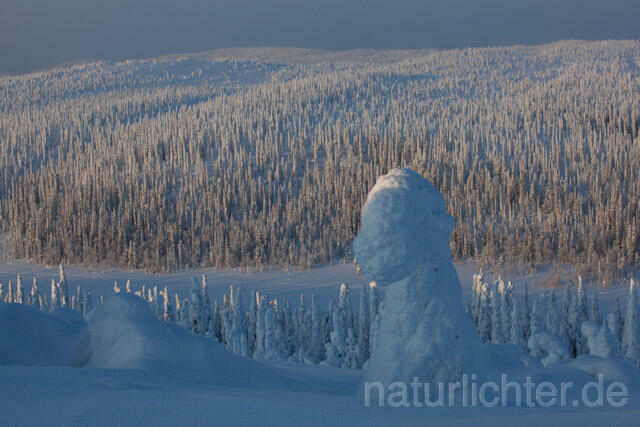 R10093 Riisitunturi im Winter, Finnland, Kuusamo - Christoph Robiller