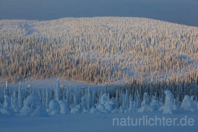 R10094 Riisitunturi im Winter, Finnland, Kuusamo - Christoph Robiller