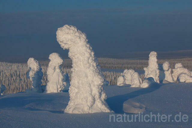 R10101 Riisitunturi im Winter, Finnland, Kuusamo - Christoph Robiller