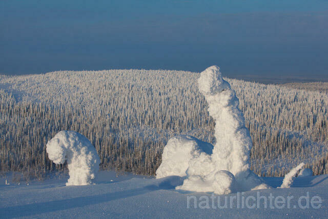 R10104 Riisitunturi im Winter, Finnland, Kuusamo - Christoph Robiller