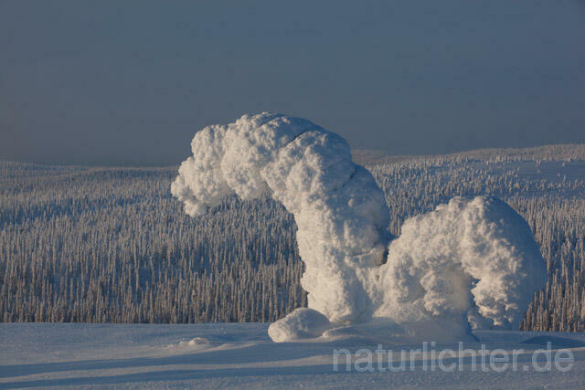 R10105 Riisitunturi im Winter, Finnland, Kuusamo - Christoph Robiller